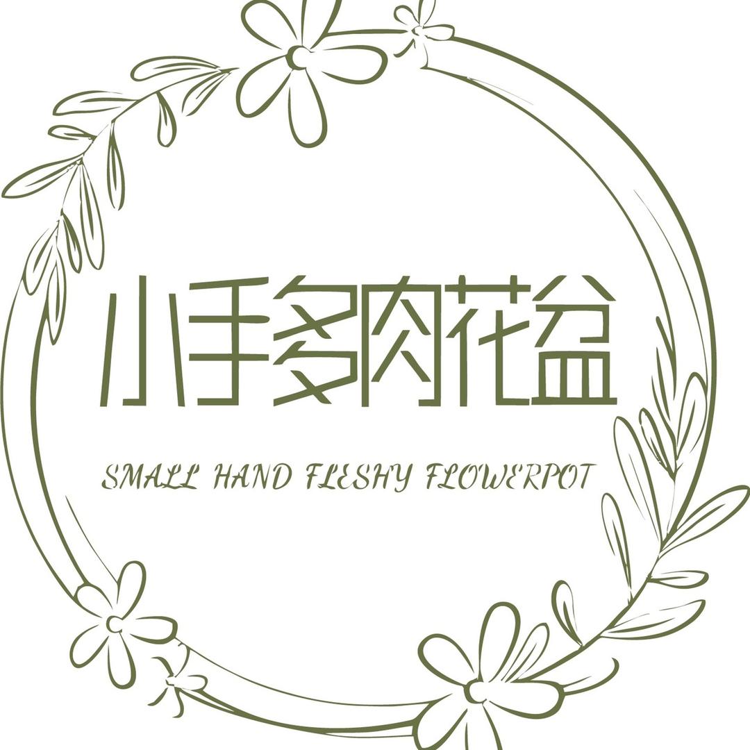 景德镇小手家多肉花盆