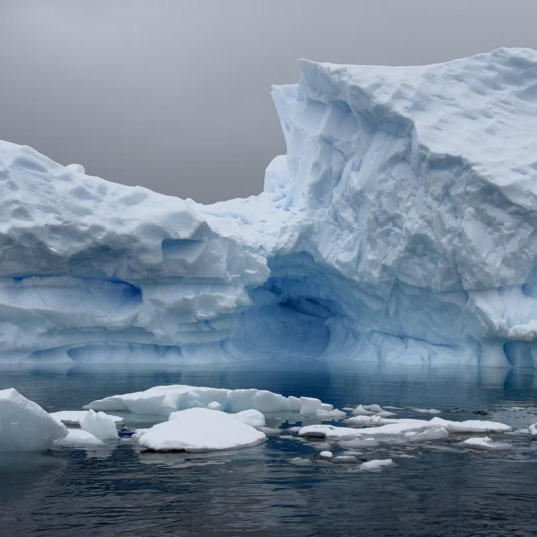 小金同学爱爆爆