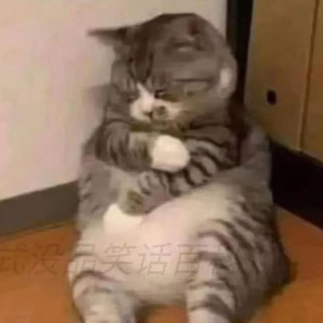 撕酱卡