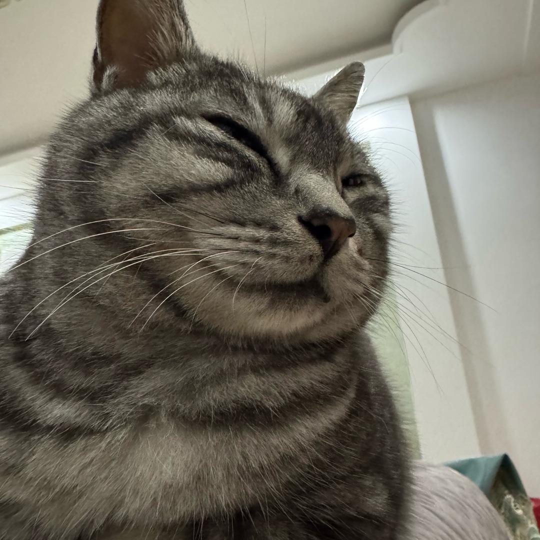 欧润居