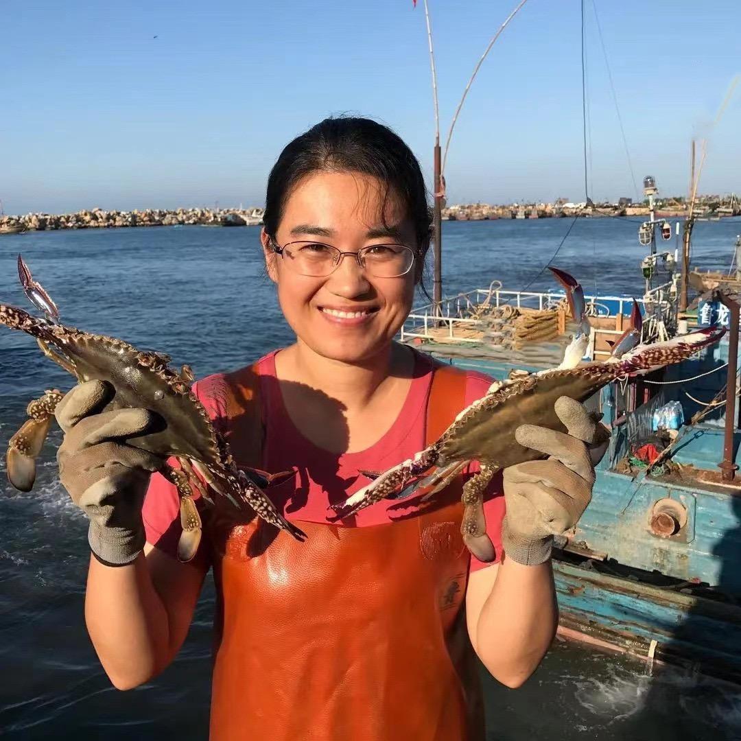 静姐的家乡美食（鲜食海参工厂直发）