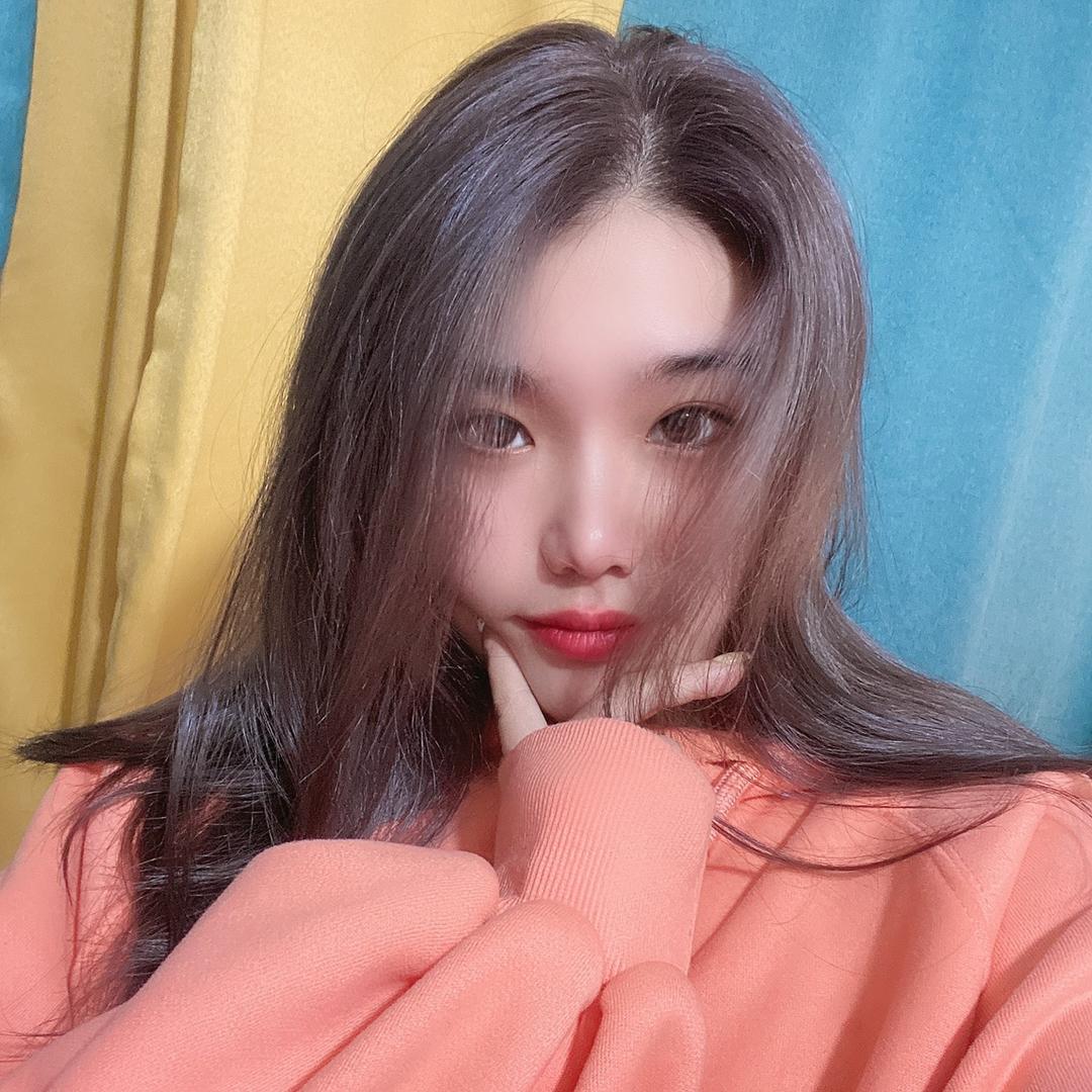 十七🩶
