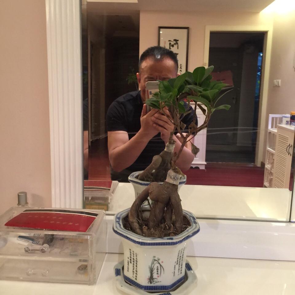 梦游