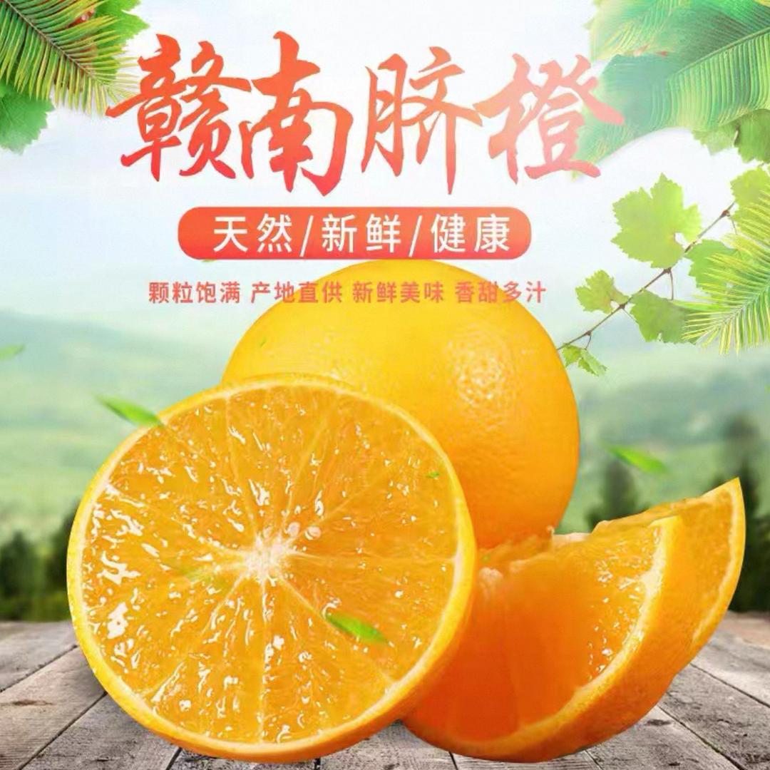 赣南正宗鲜橙仓