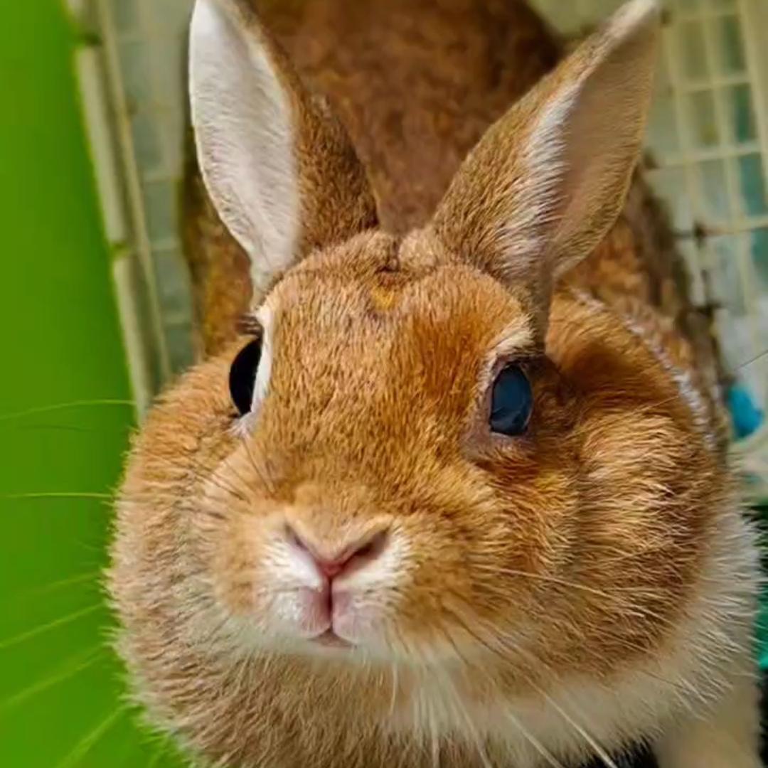 🌟煙煙宝贝🌈✨❄️⚡️