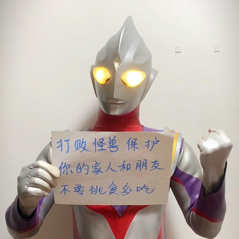 福州迪迦