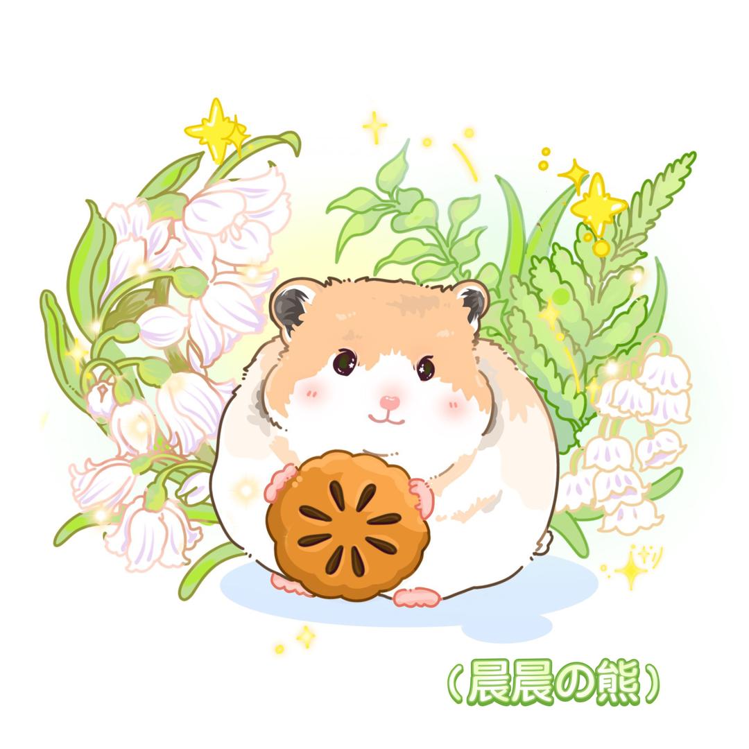 晨晨の熊🐻（CCDX5288）