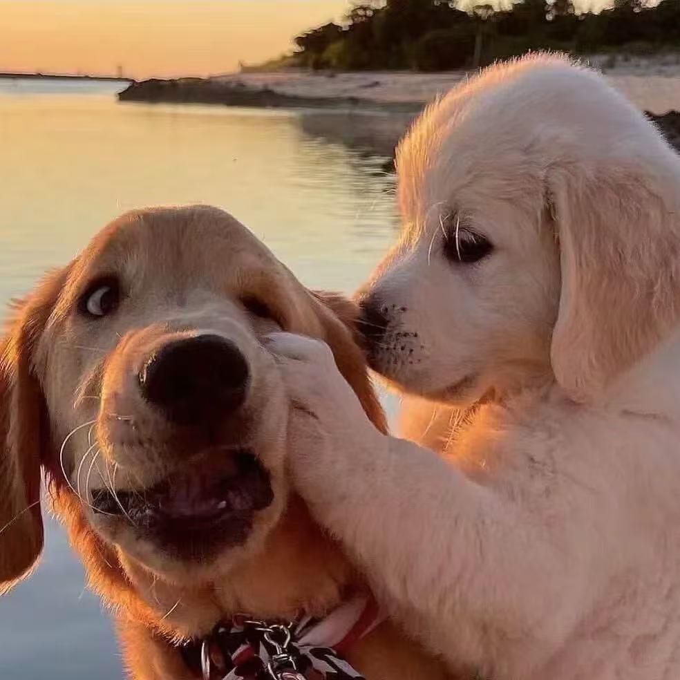 做人留三分热情