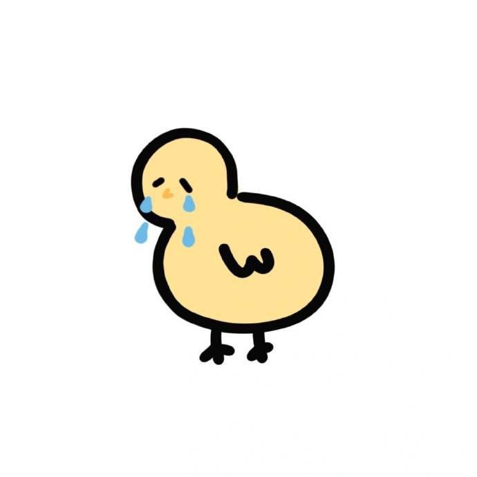 设计师