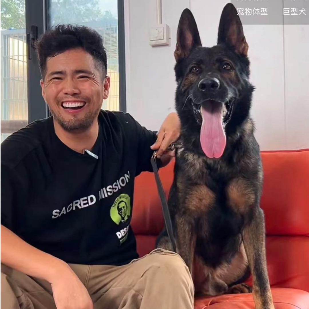 三安(超越巅峰犬舍直播号)