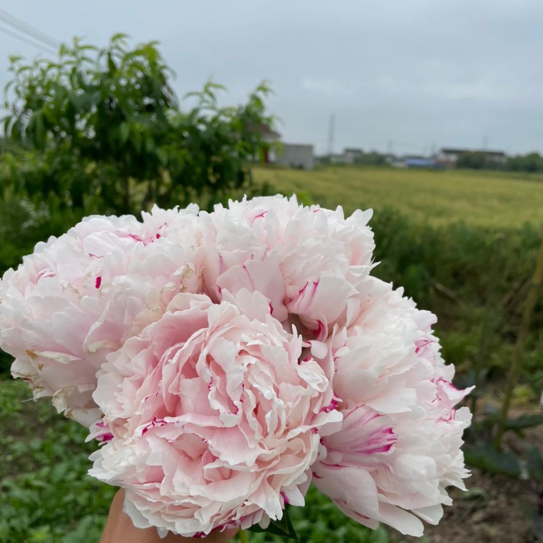 月圆月缺