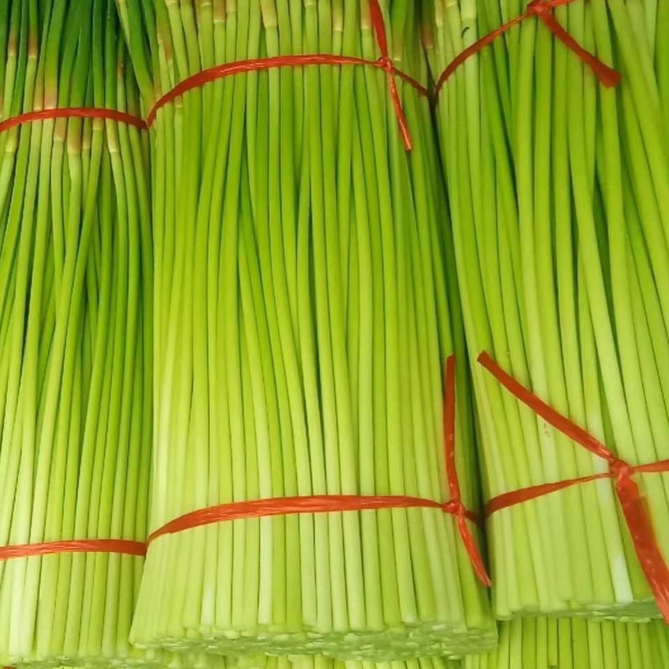 中牟代办小刘🤝