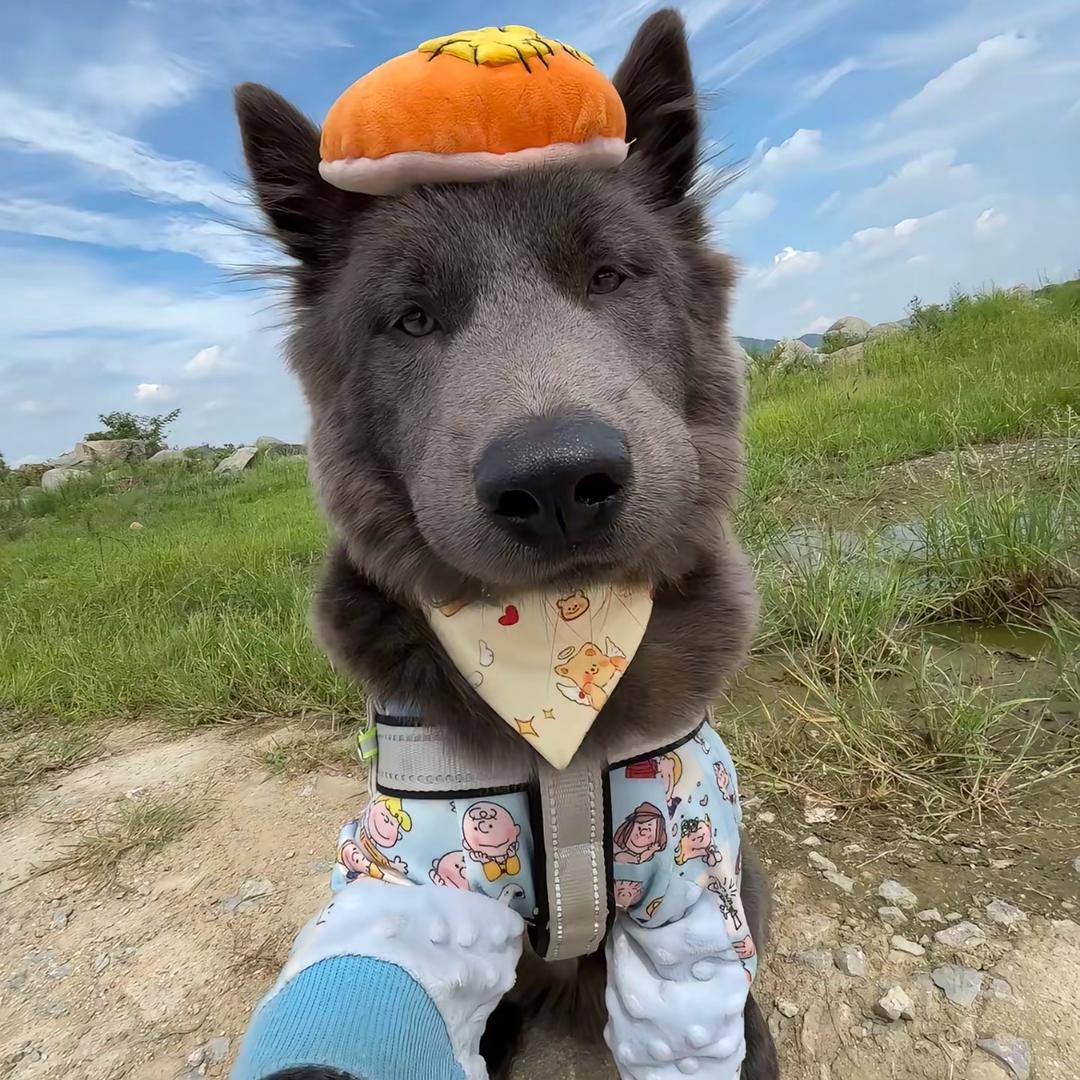 oᐝ
