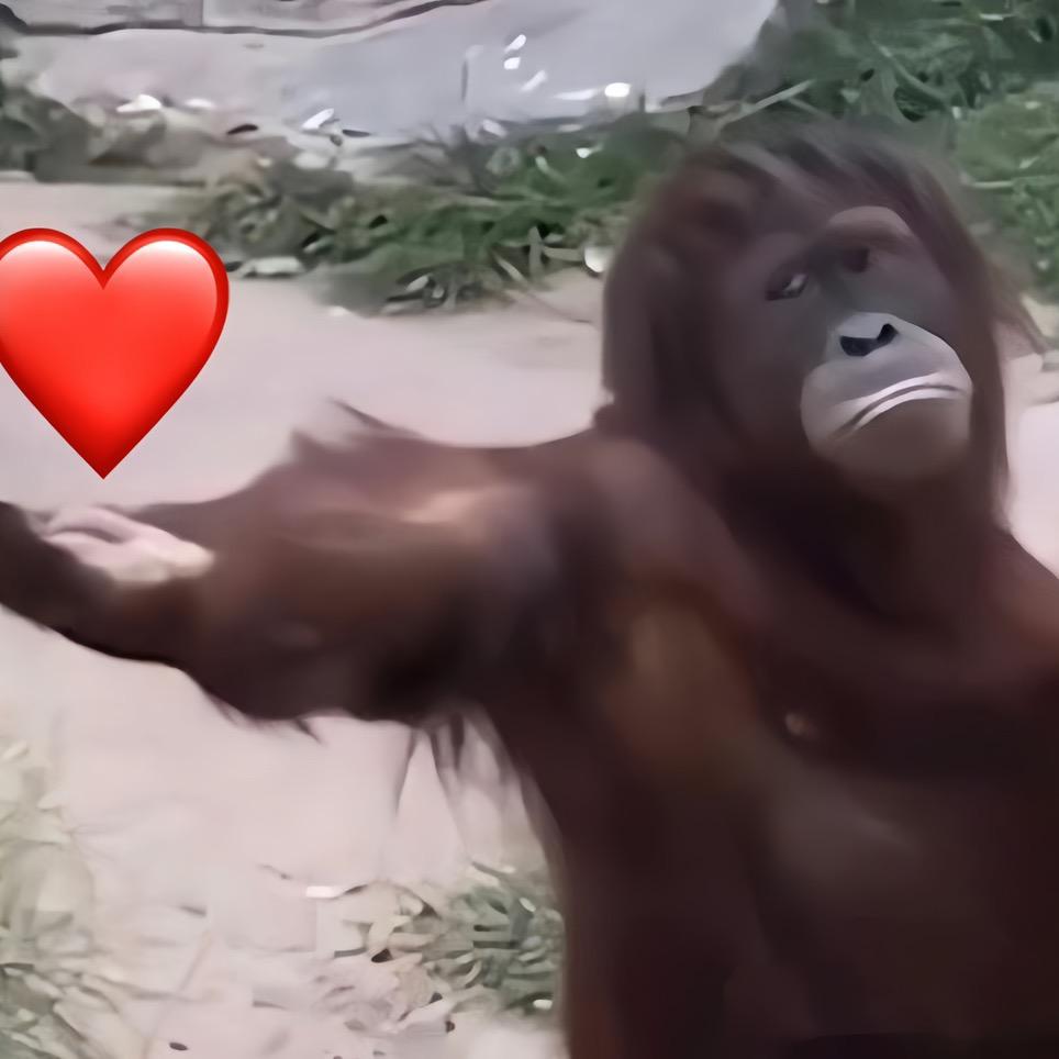 ¥