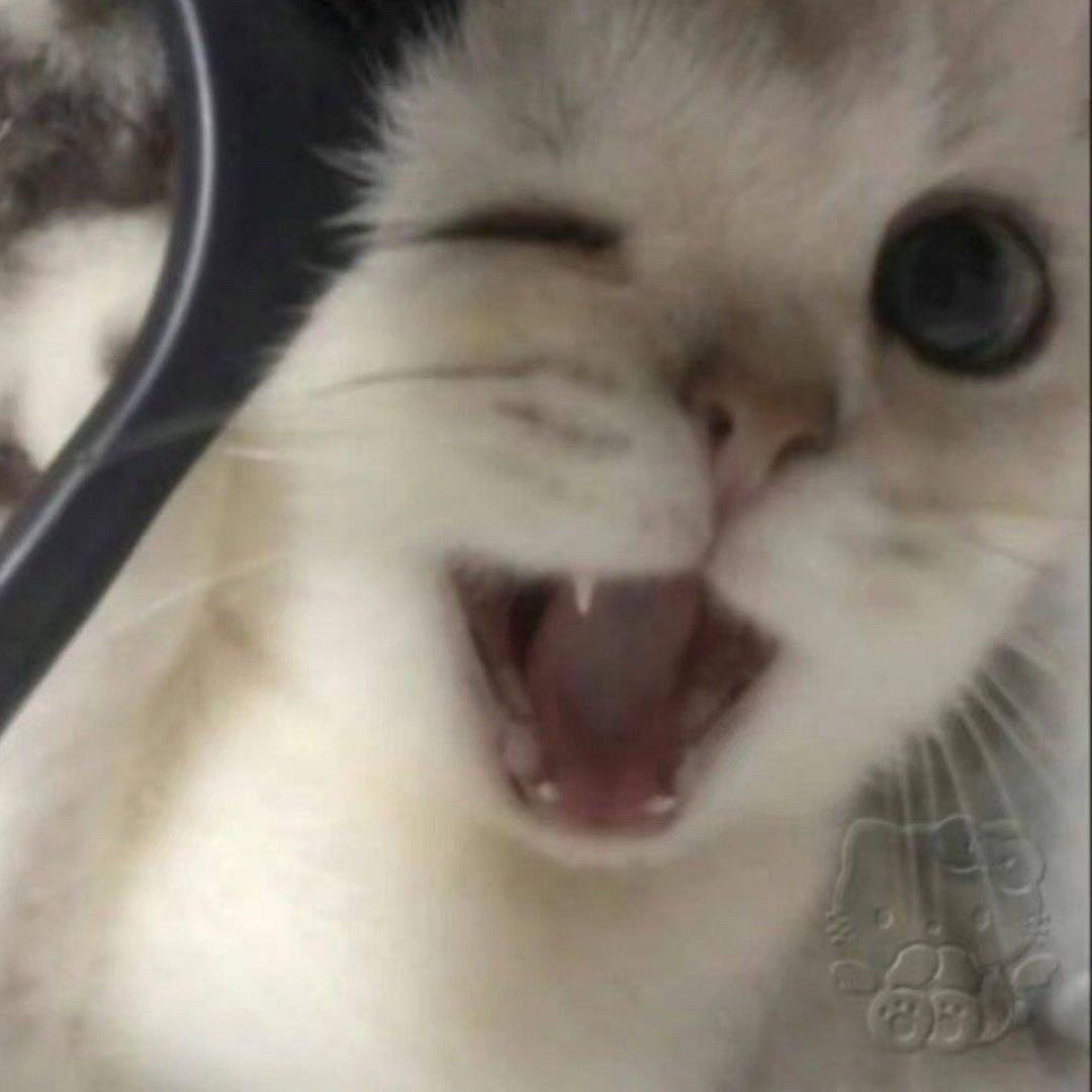 南阳 十二🏓