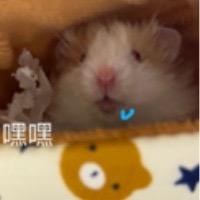 ≡ω≡