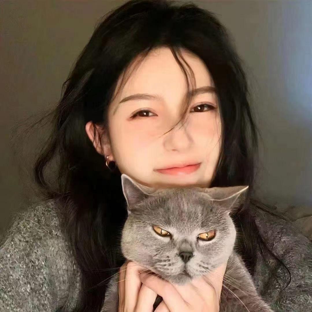 蔺西西