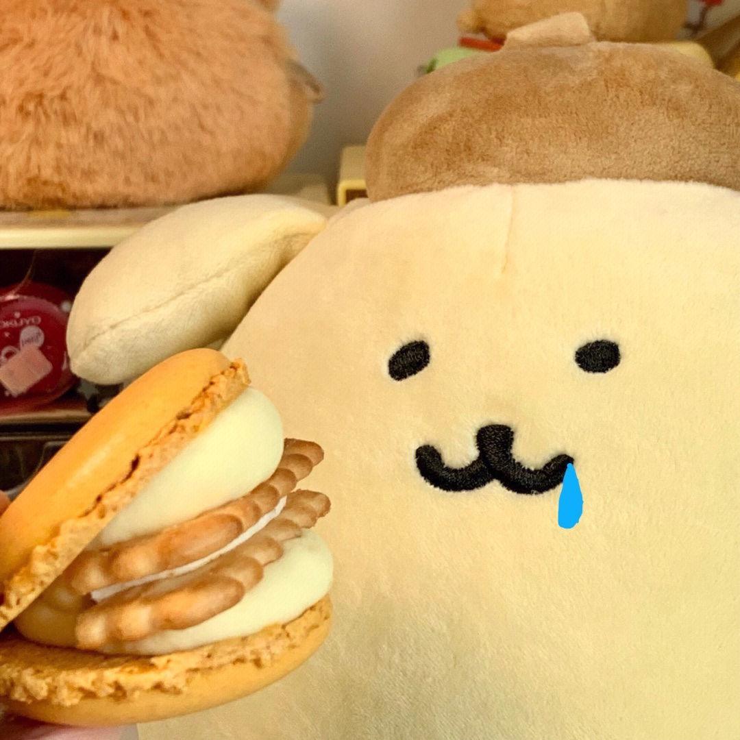 毛毛专辑
