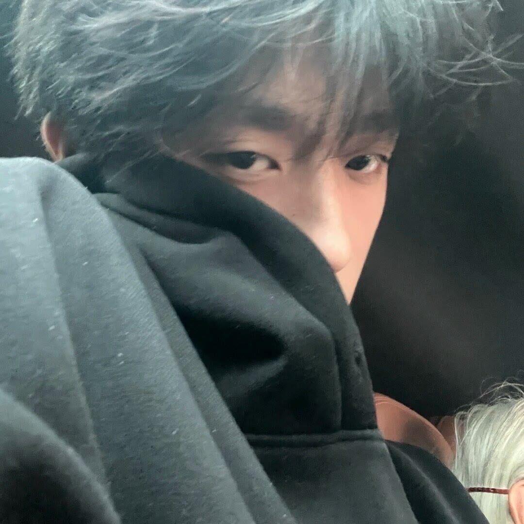 笨蛋韬崽