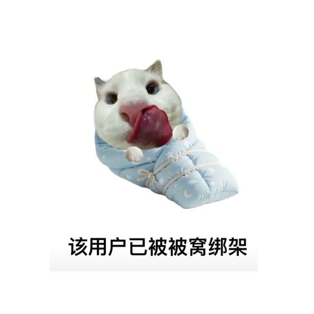 何蛋蛋勇闯天涯