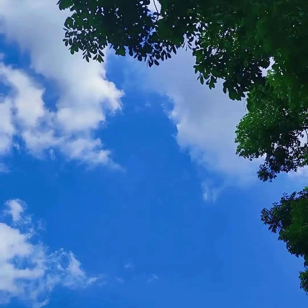 云淡风轻ʕ•̫͡•ʔ