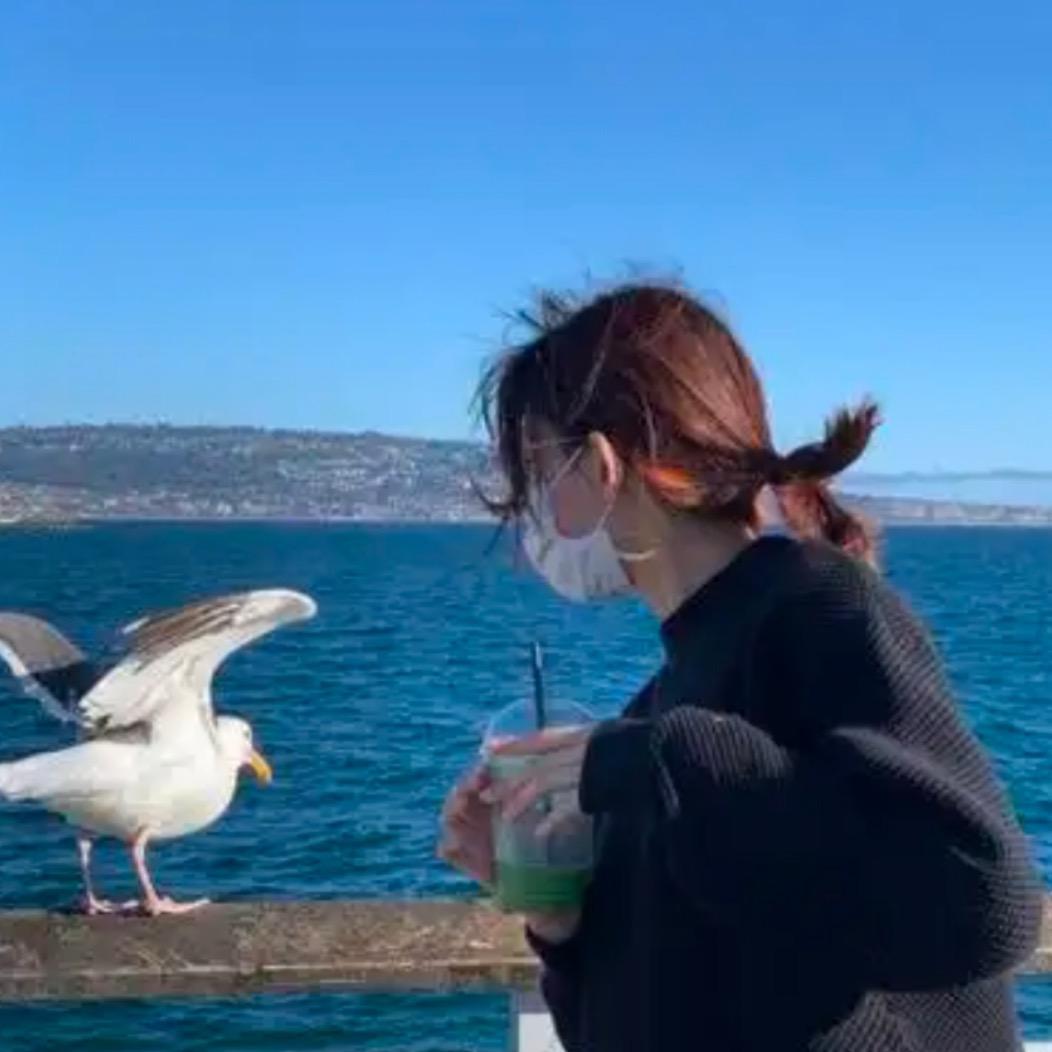 木木带你吃喝玩乐