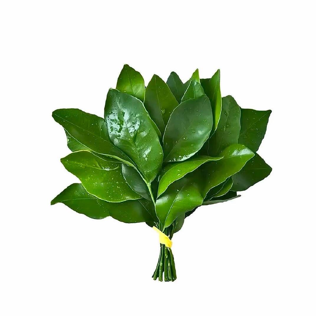 郭喜庆