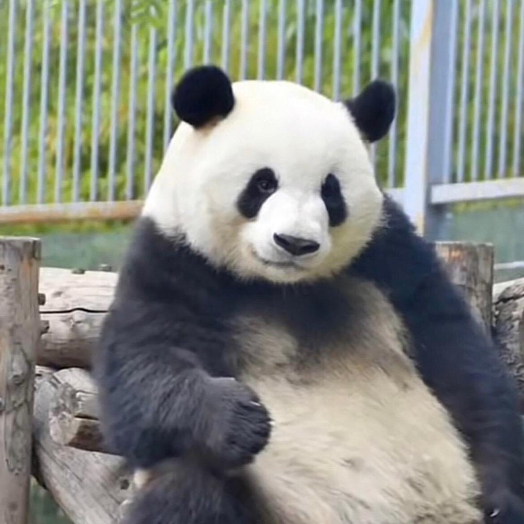 飞二10050805