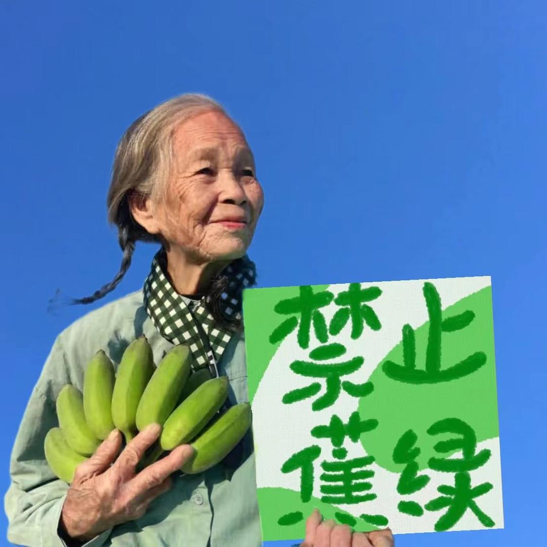 懒的取