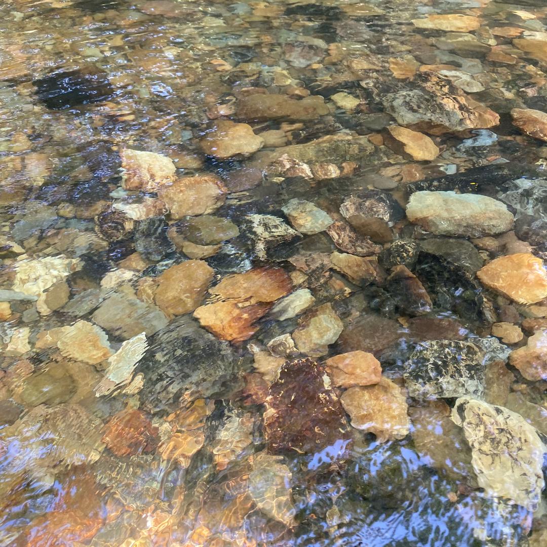 🦋ꦿ໊余生᭄🕊随心᭄ꦿᩚ٭