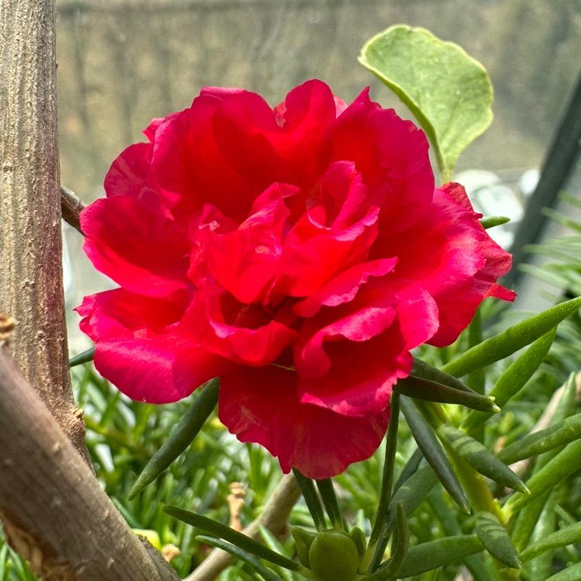 💕ꦿ①路向杨᭄ꦿ໌້ᮨ