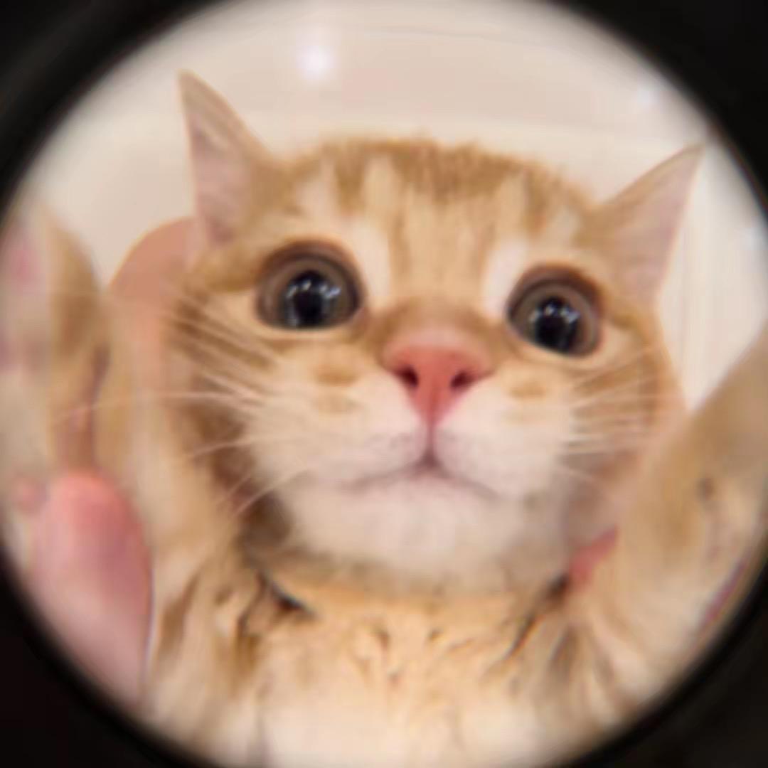 广州十三行女装👗（假期）