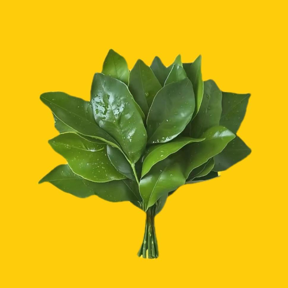 一女的