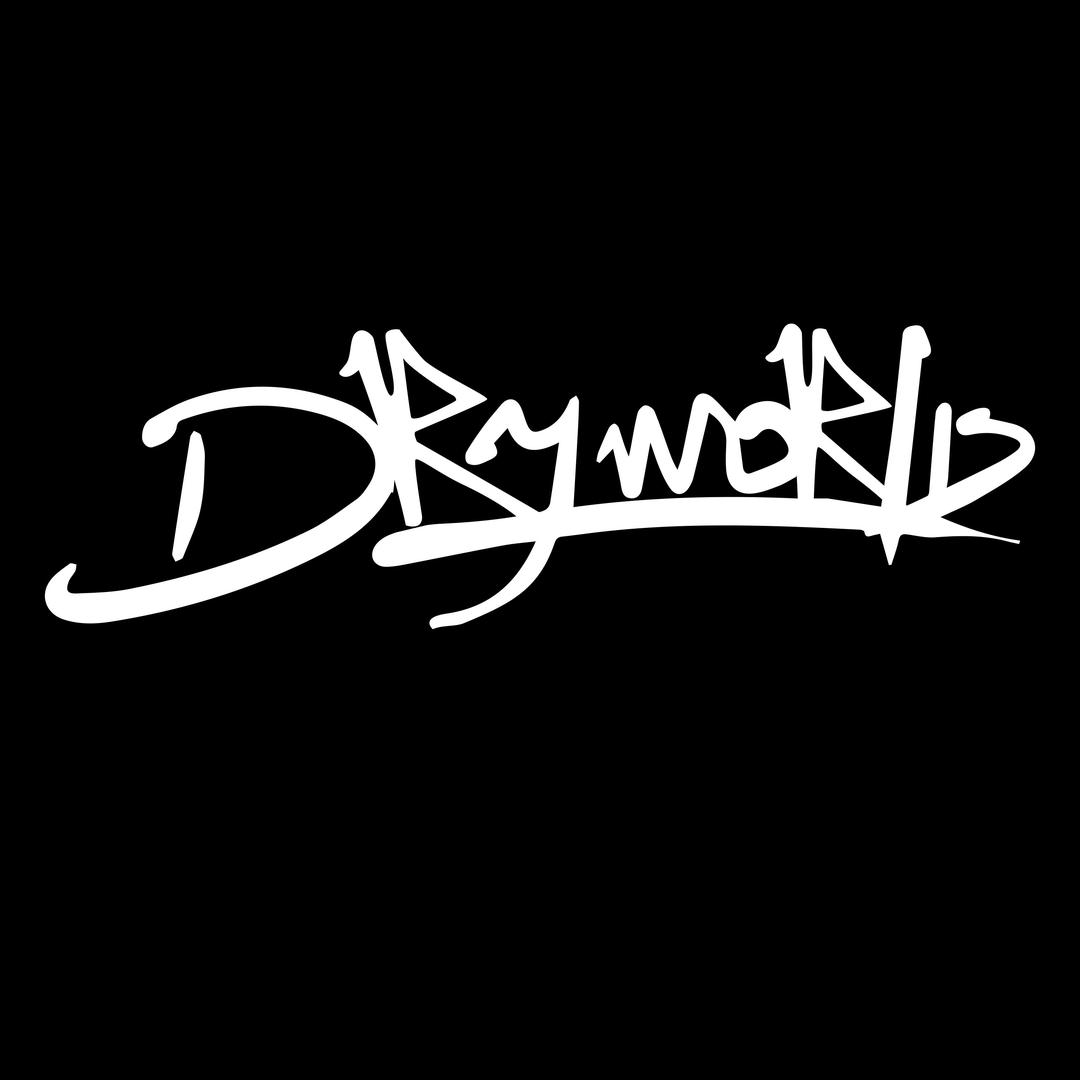 DRYWORLD启迪专卖店