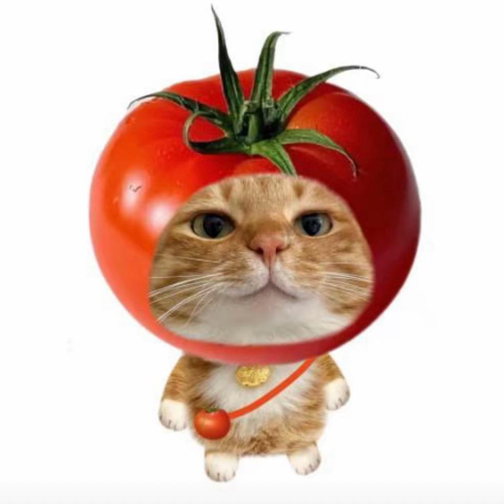 Y.Y