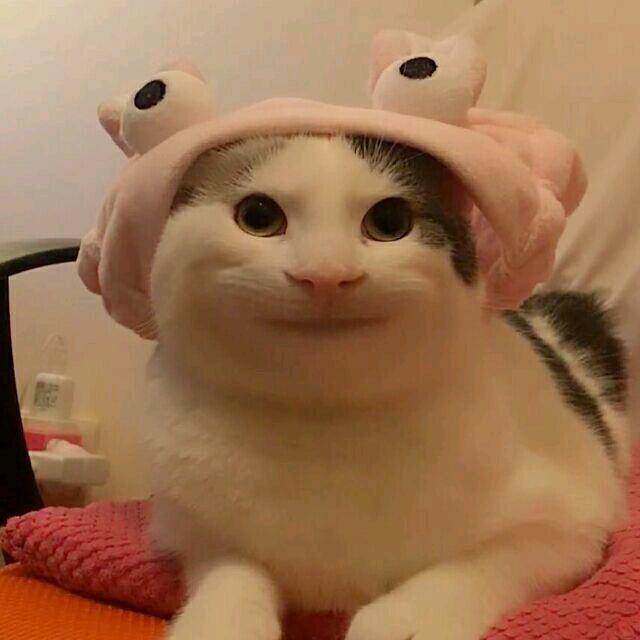 柯哈哈头像