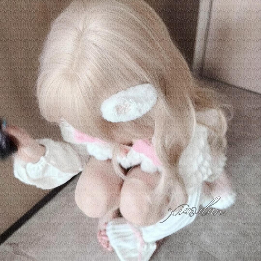 🐾