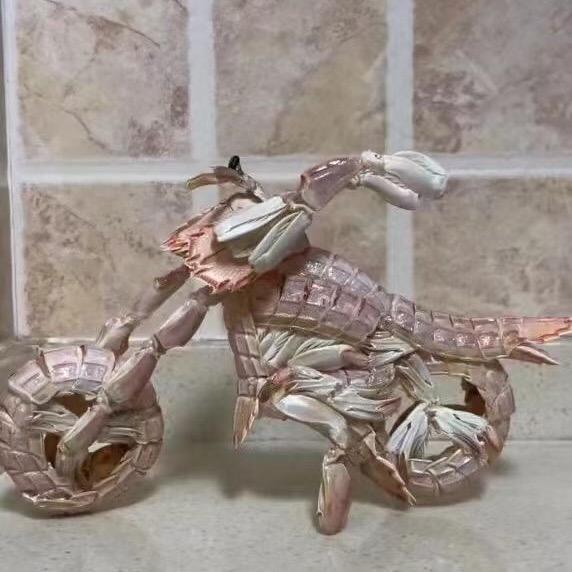🈲㠪孒🔞