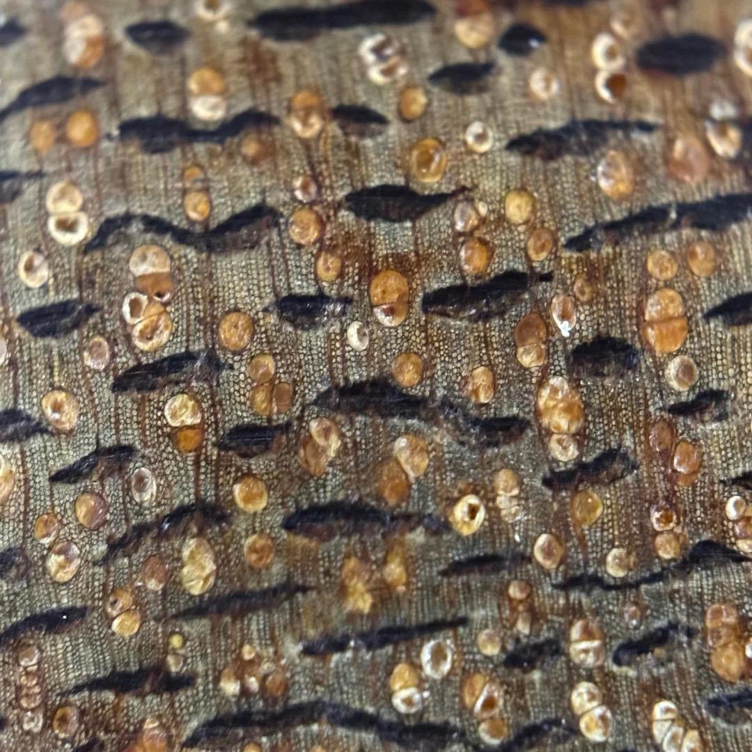 墨涧｜沉香鉴定超哥