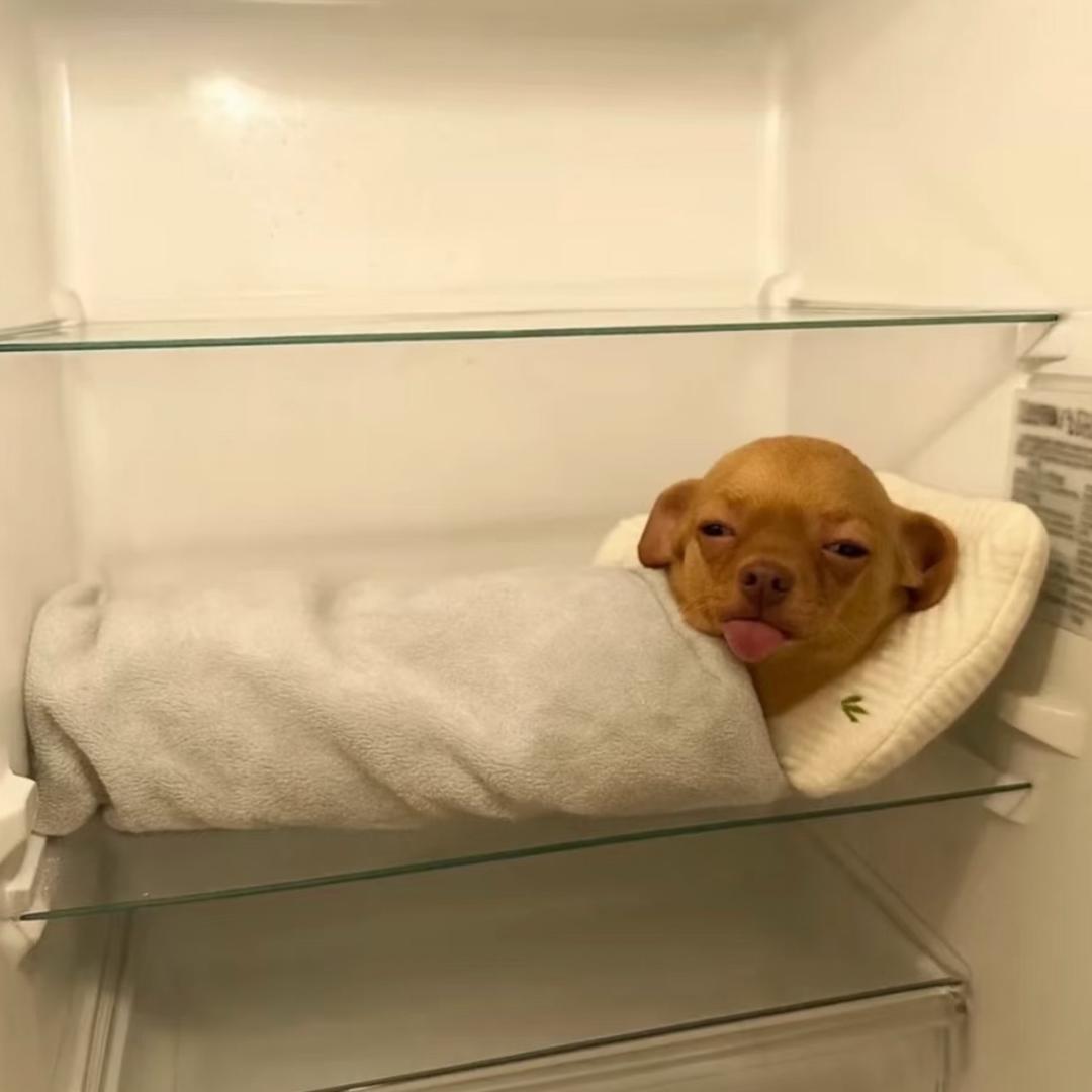 墩ㅎ.ㅎ