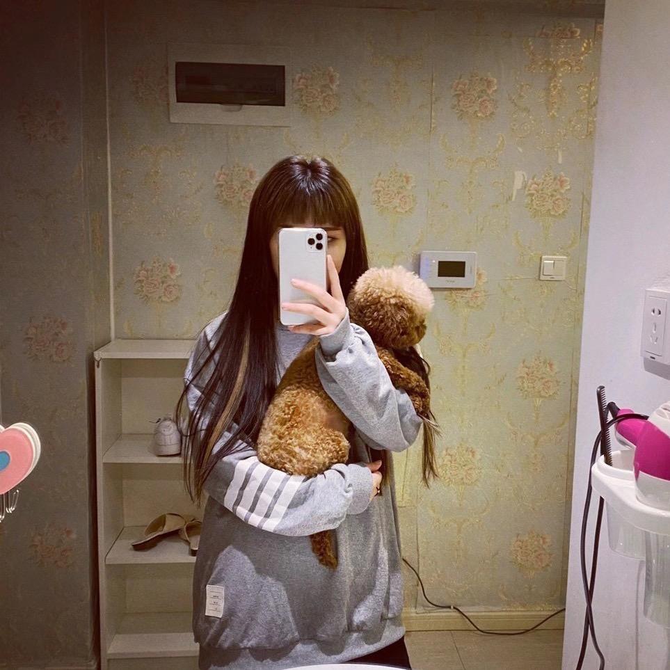 笨蛋美女