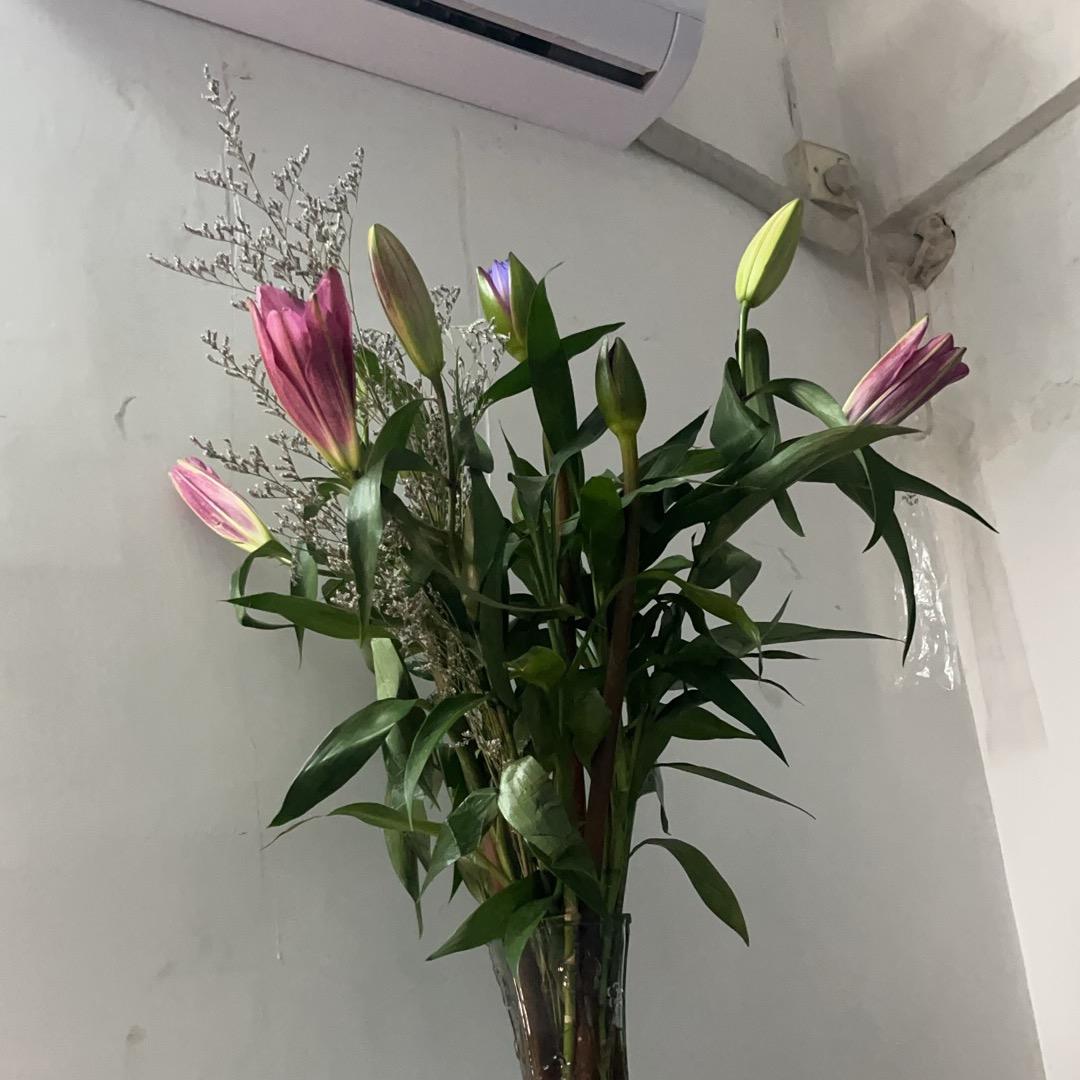 广东三轮车工厂店，厂家直销