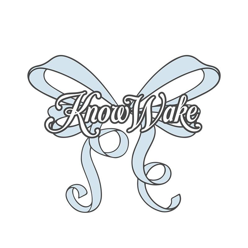 knowwake觉醒意识
