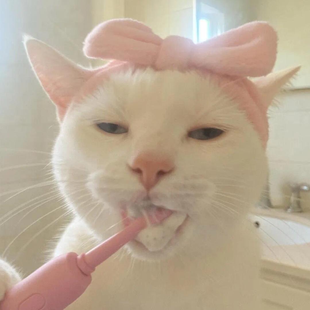 OYoy