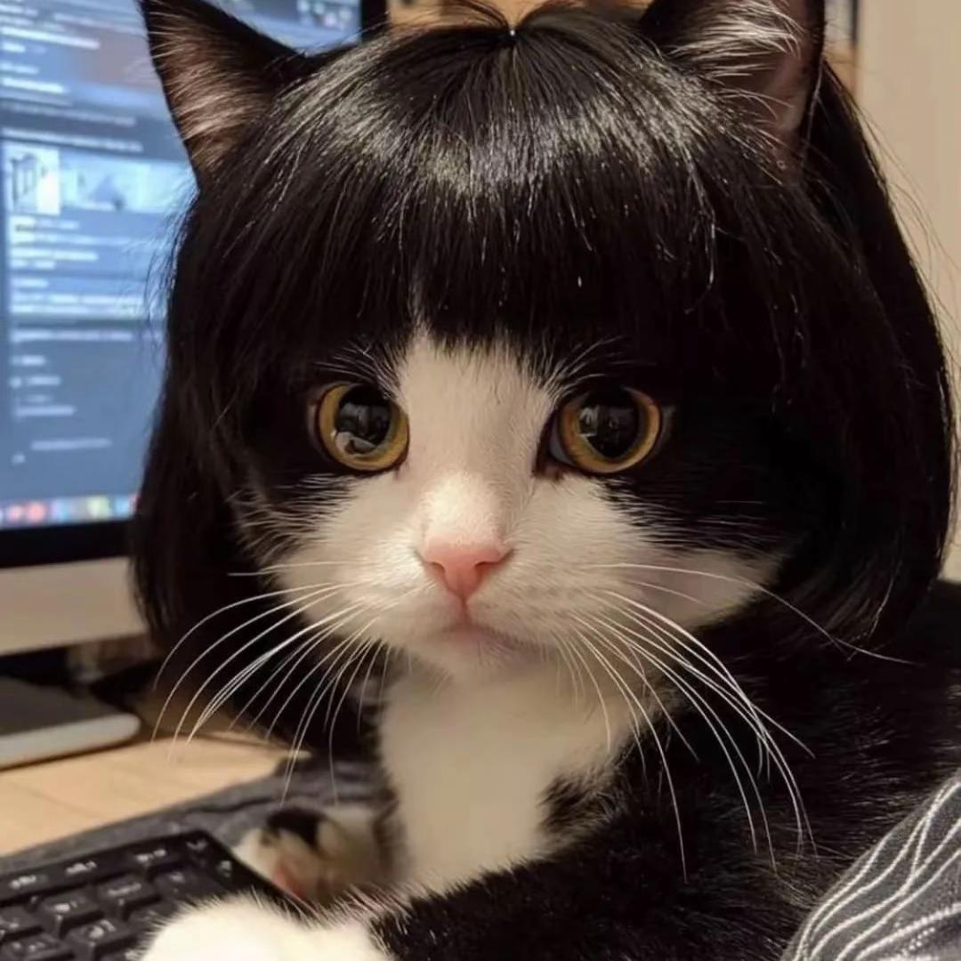 黑芙蕾