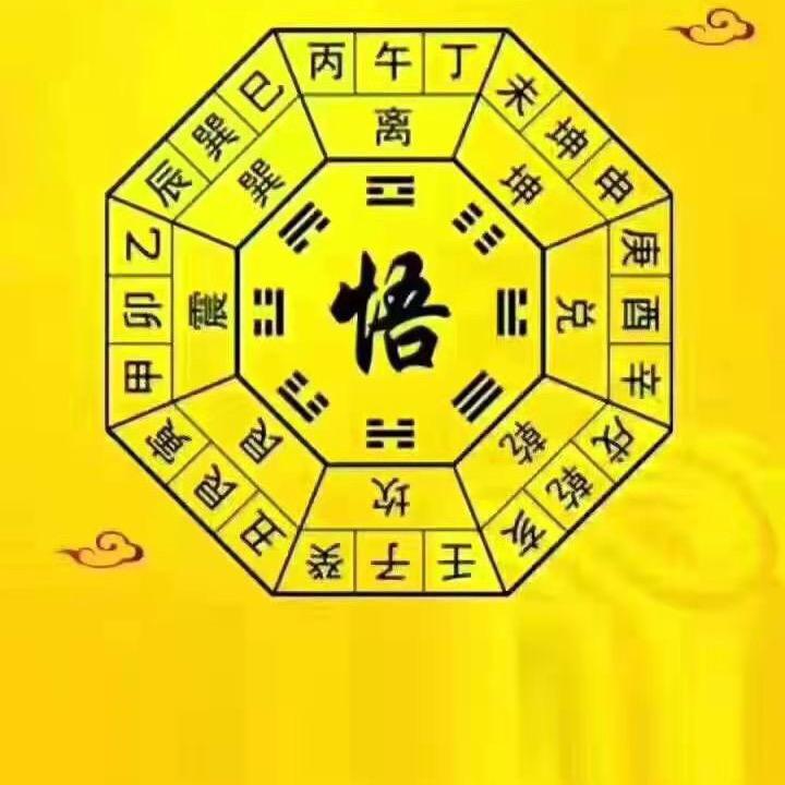 万象皆春13