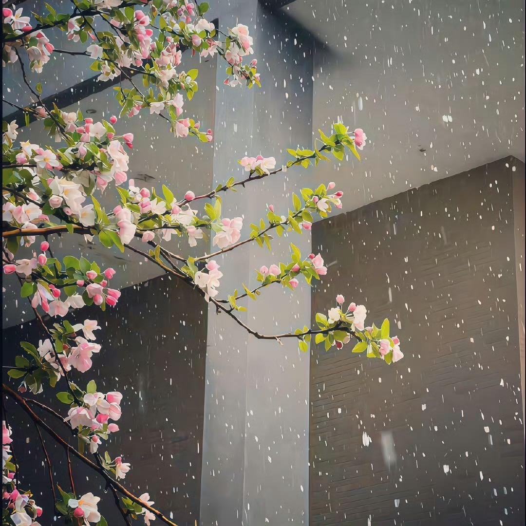 净月高新技术产业开发区叁叁零广告图文中心长春市无碳良品生物科技有