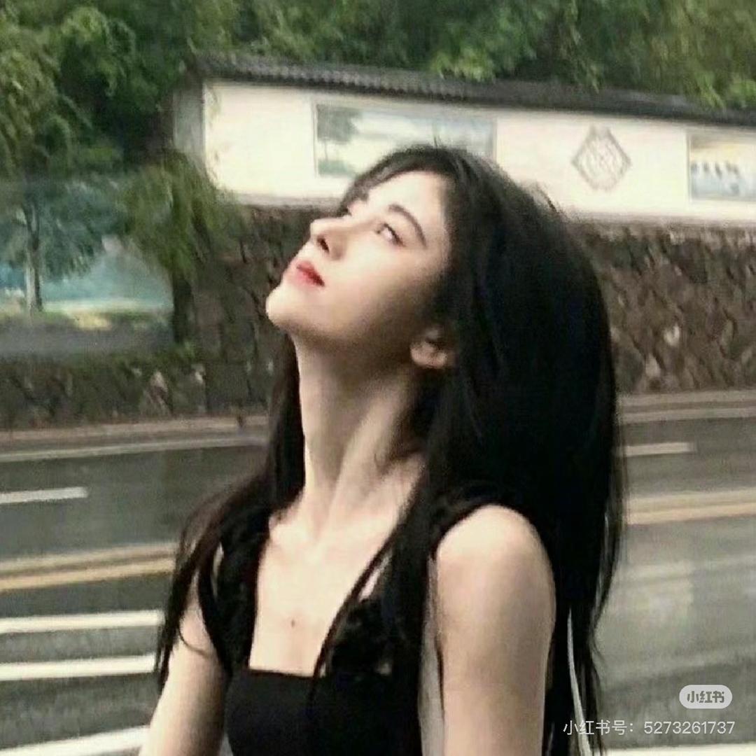 紫菜cc