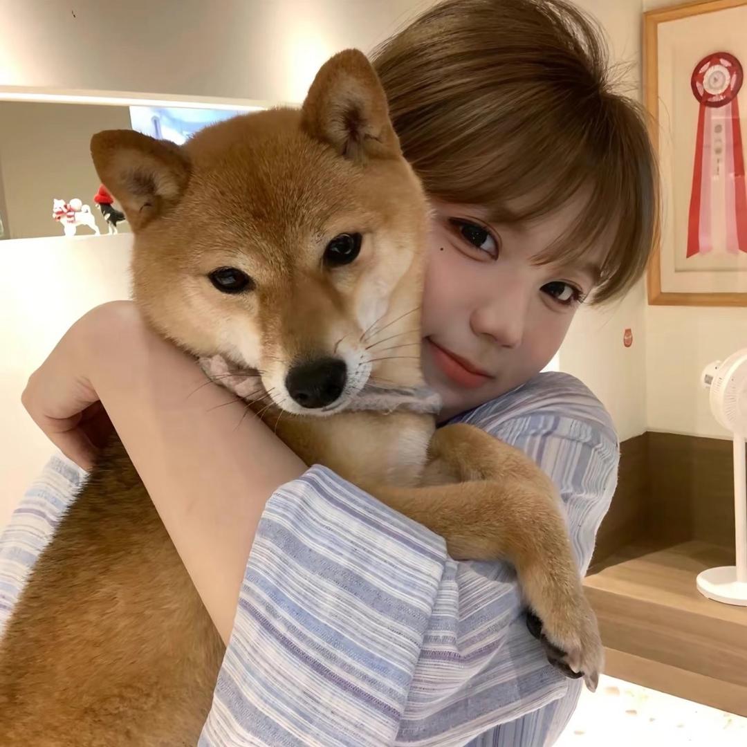 莎莎