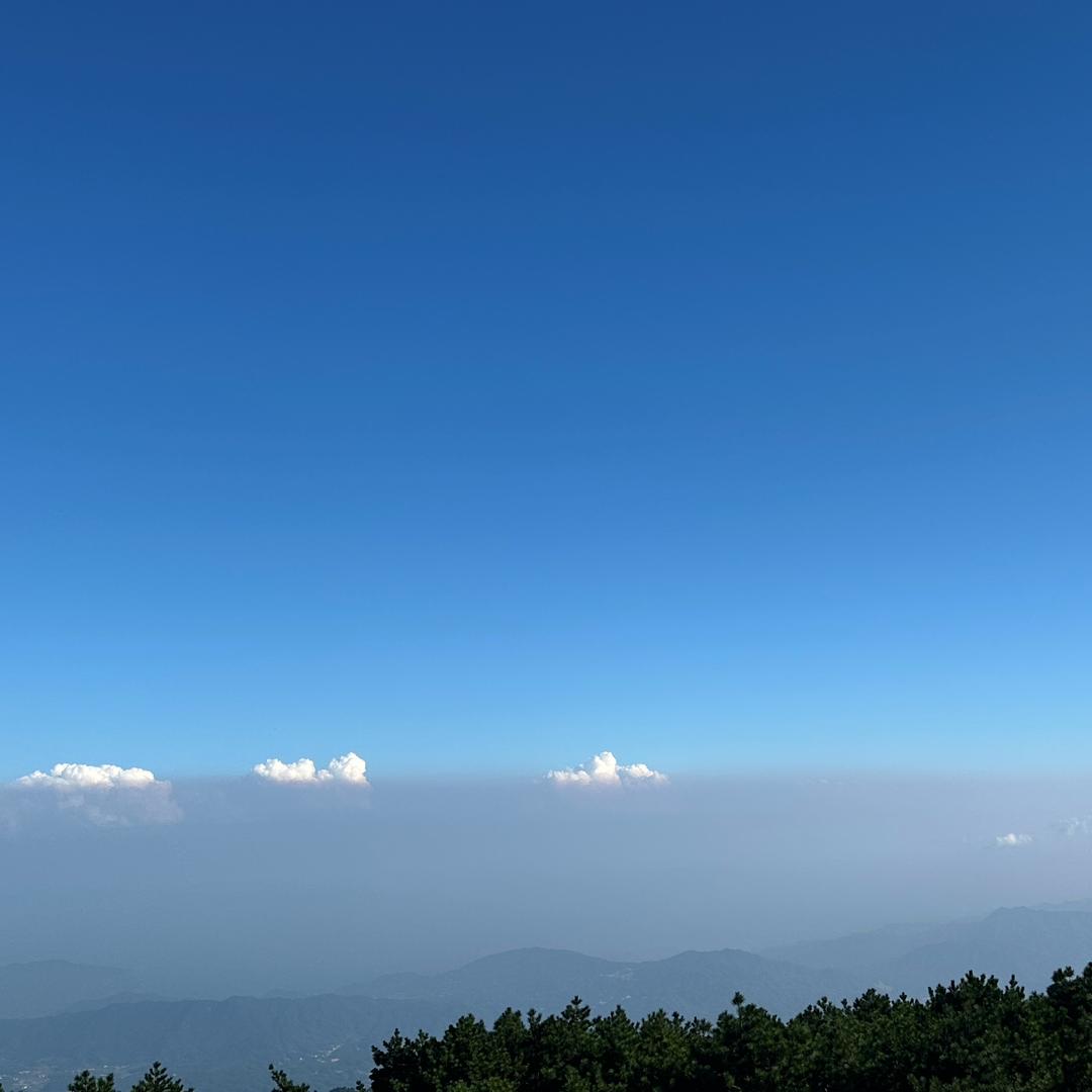 渡己